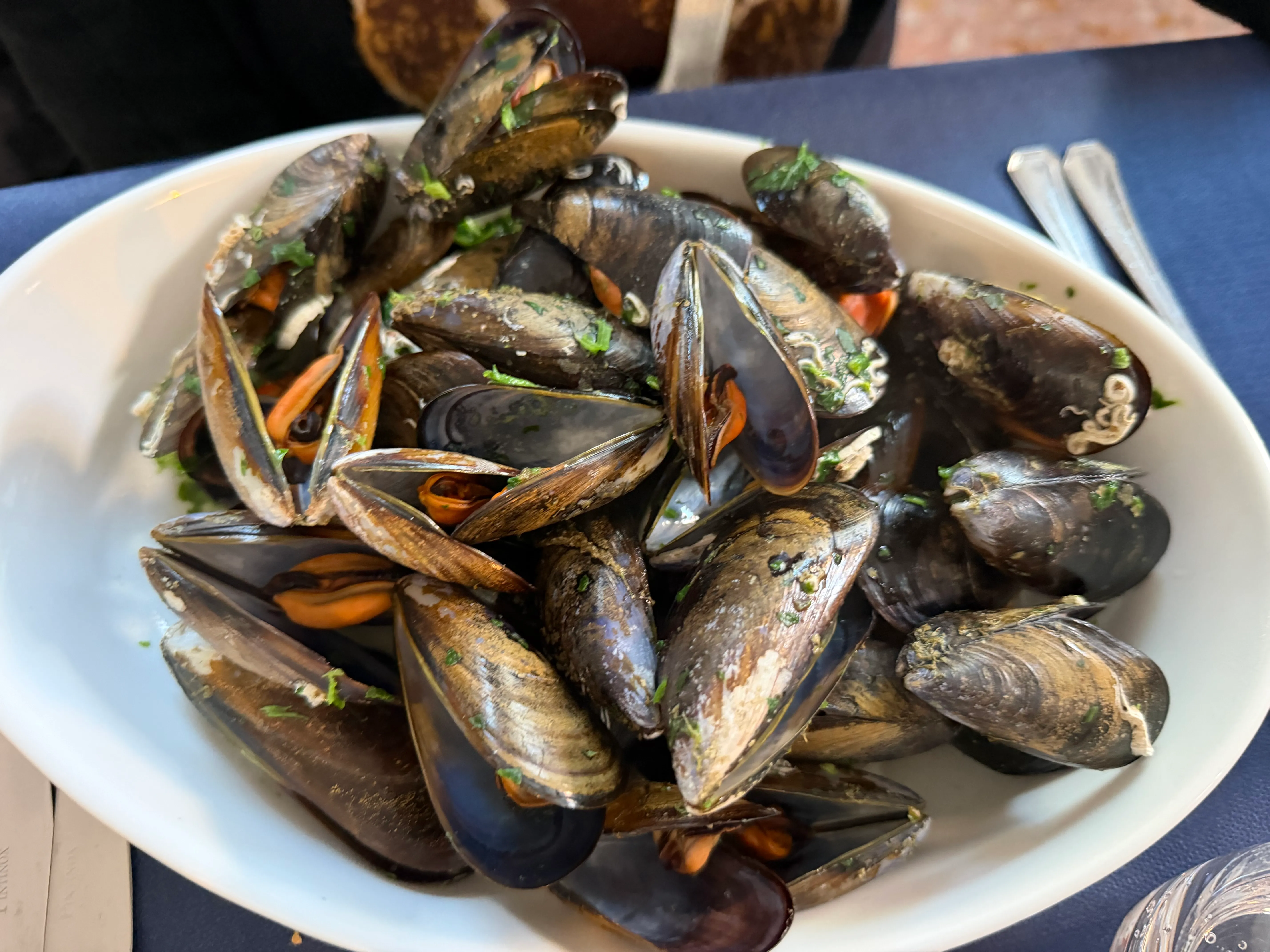 Cozze alla marinara